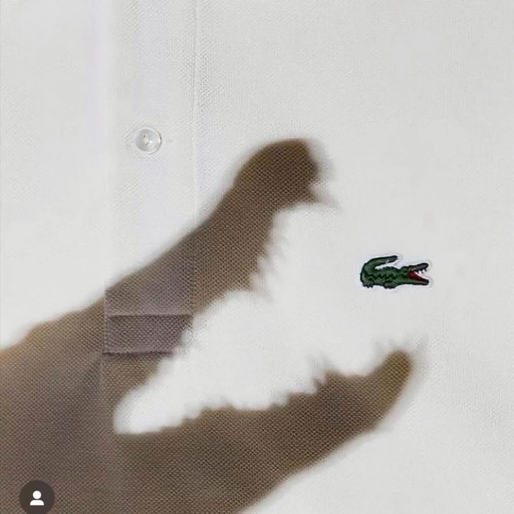 LACOSTE polo-細節圖2