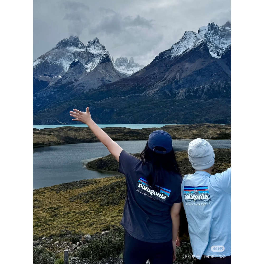 日本🇯🇵限定》 Patagonia拯救地球🌍世界和平環保♻️系列Framed Fltz Roy Trout Org-細節圖8