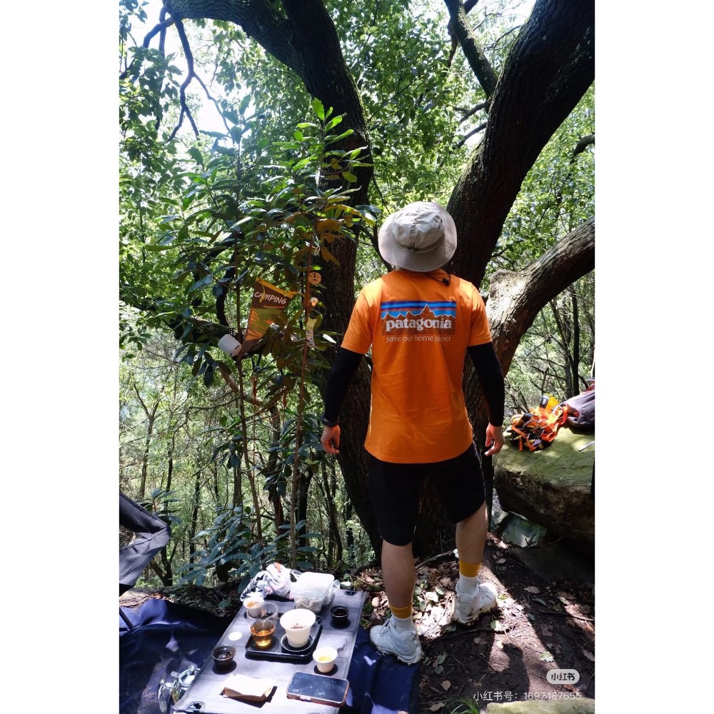 日本🇯🇵限定》 Patagonia拯救地球🌍世界和平環保♻️系列Framed Fltz Roy Trout Org-細節圖11