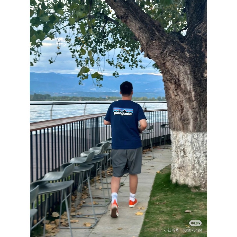 Patagonia 戶外logo山峰系列男女同款流行夏短袖T恤情侶款-細節圖2