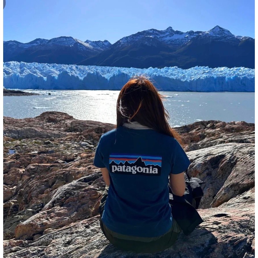 Patagonia 戶外logo山峰系列男女同款流行夏短袖T恤情侶款-細節圖3