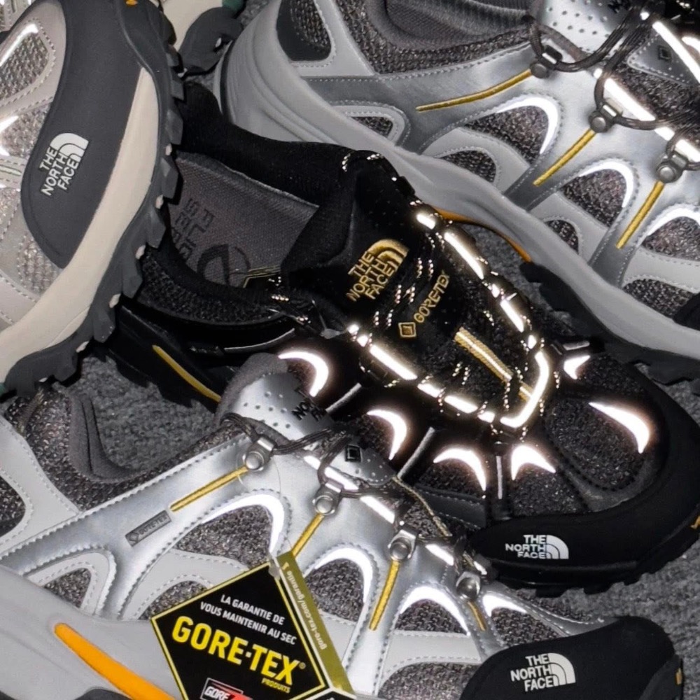 2025秋冬新款TheNorthFace GTX防水男女Hedgehog刺蝟徒步鞋-細節圖2
