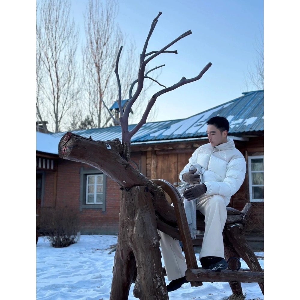 Tnf 1996 羽絨外套 防潑水-細節圖6