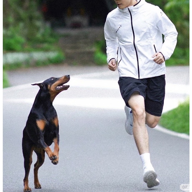 2026春夏新款OAKLEY 輕量連帽外套-細節圖4