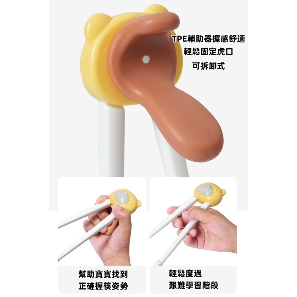 小熊款兒童輔助 虎口訓練筷 用餐神器 兒童餐具 兒童練習筷 學習輔助 小熊 餐具 筷子 學習筷 學習筷子-細節圖4