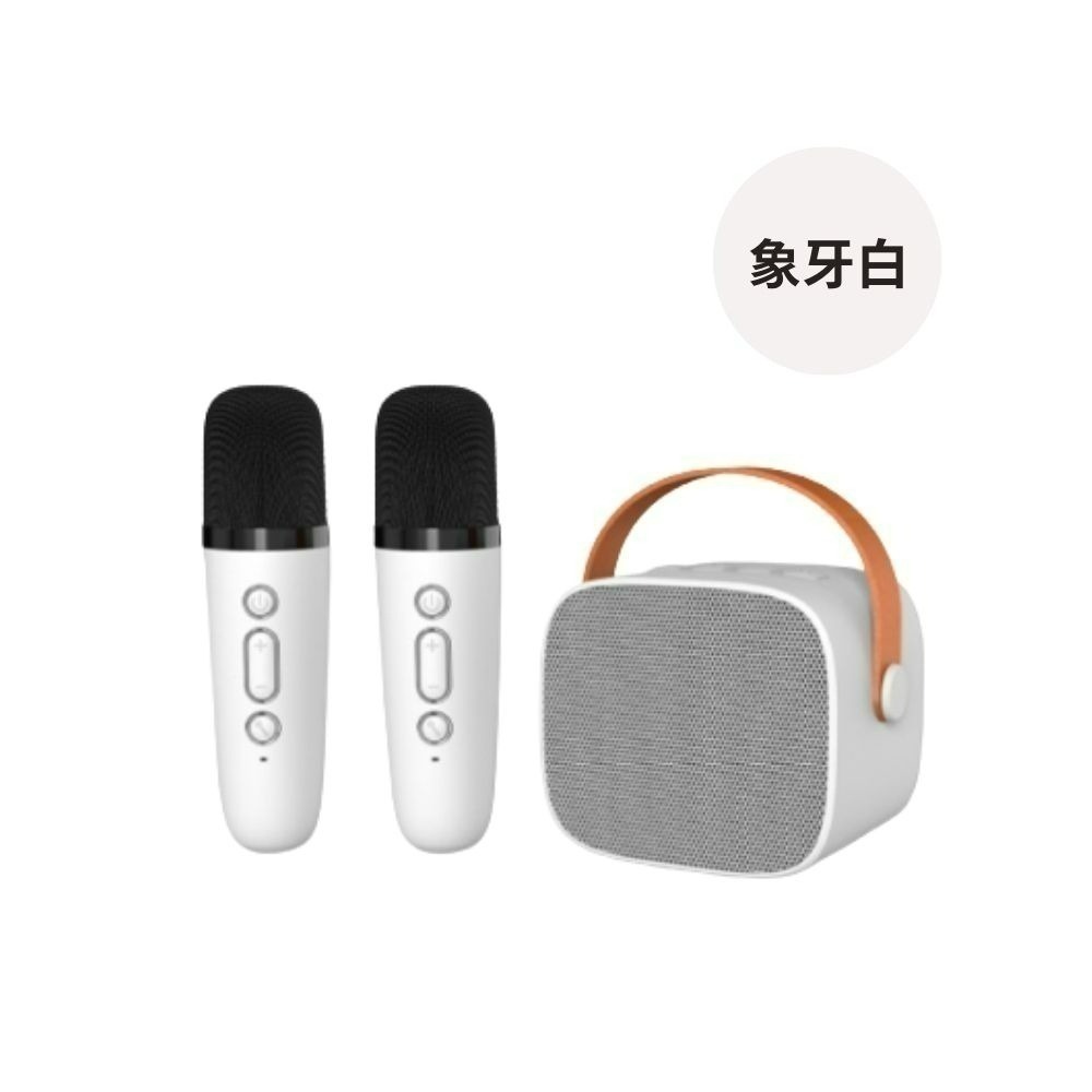 LEBO樂柏【升級款】｜P2雙麥克風藍牙音箱  正版授權 P2麥克風 可對唱 藍芽音箱 消除人聲 唱歌用 無線麥克風-規格圖4