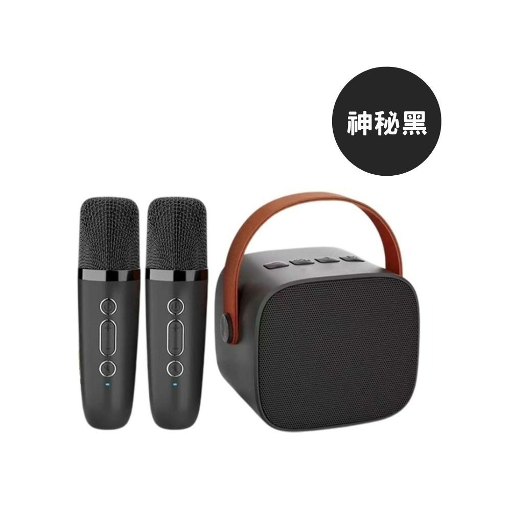 LEBO樂柏【升級款】｜P2雙麥克風藍牙音箱  正版授權 P2麥克風 可對唱 藍芽音箱 消除人聲 唱歌用 無線麥克風-規格圖4