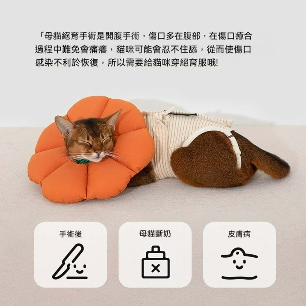 HiDREAM貓咪防掙脫手術服 寵物術後服 防舔咬護理衣 絕育術後衣 寵物恢復衣 貓用防舔衣 貓術後保護服-細節圖3
