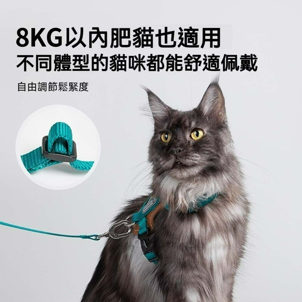 HiDREAM皮革貓咪胸背帶套裝 寵物牽引繩 貓用胸背帶 外出胸背衣 防掙脫貓背帶 牽繩組 貓用散步套裝 可調式背帶-細節圖2