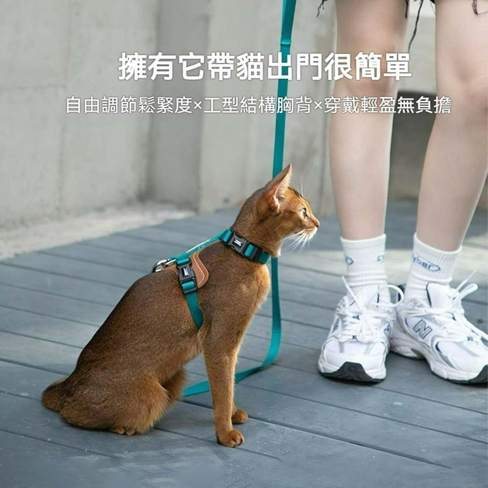 HiDREAM皮革貓咪胸背帶套裝 寵物牽引繩 貓用胸背帶 外出胸背衣 防掙脫貓背帶 牽繩組 貓用散步套裝 可調式背帶-細節圖9