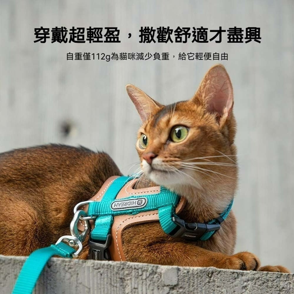 HiDREAM皮革貓咪胸背帶套裝 寵物牽引繩 貓用胸背帶 外出胸背衣 防掙脫貓背帶 牽繩組 貓用散步套裝 可調式背帶-細節圖7