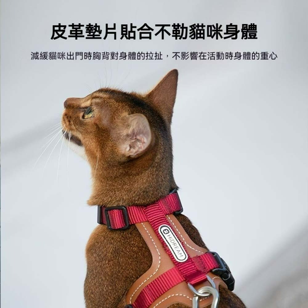 HiDREAM皮革貓咪胸背帶套裝 寵物牽引繩 貓用胸背帶 外出胸背衣 防掙脫貓背帶 牽繩組 貓用散步套裝 可調式背帶-細節圖10