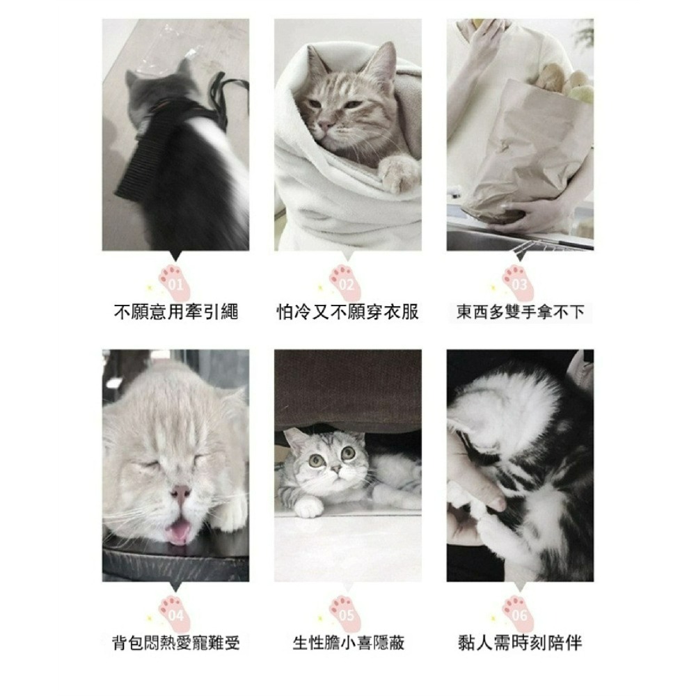 寵物外出摺疊手提包 可擴充寵物外出包 透氣便攜寵物提籠 狗狗貓咪外出袋 寵物旅行包 折疊收納提包-細節圖2