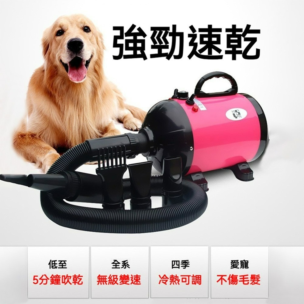 強力速乾寵物吹水機 靜音吹風機 高速吹乾機 狗狗吹毛機 貓咪烘毛機 寵物美容吹風機 洗車吹水機 寵物烘乾機-細節圖2