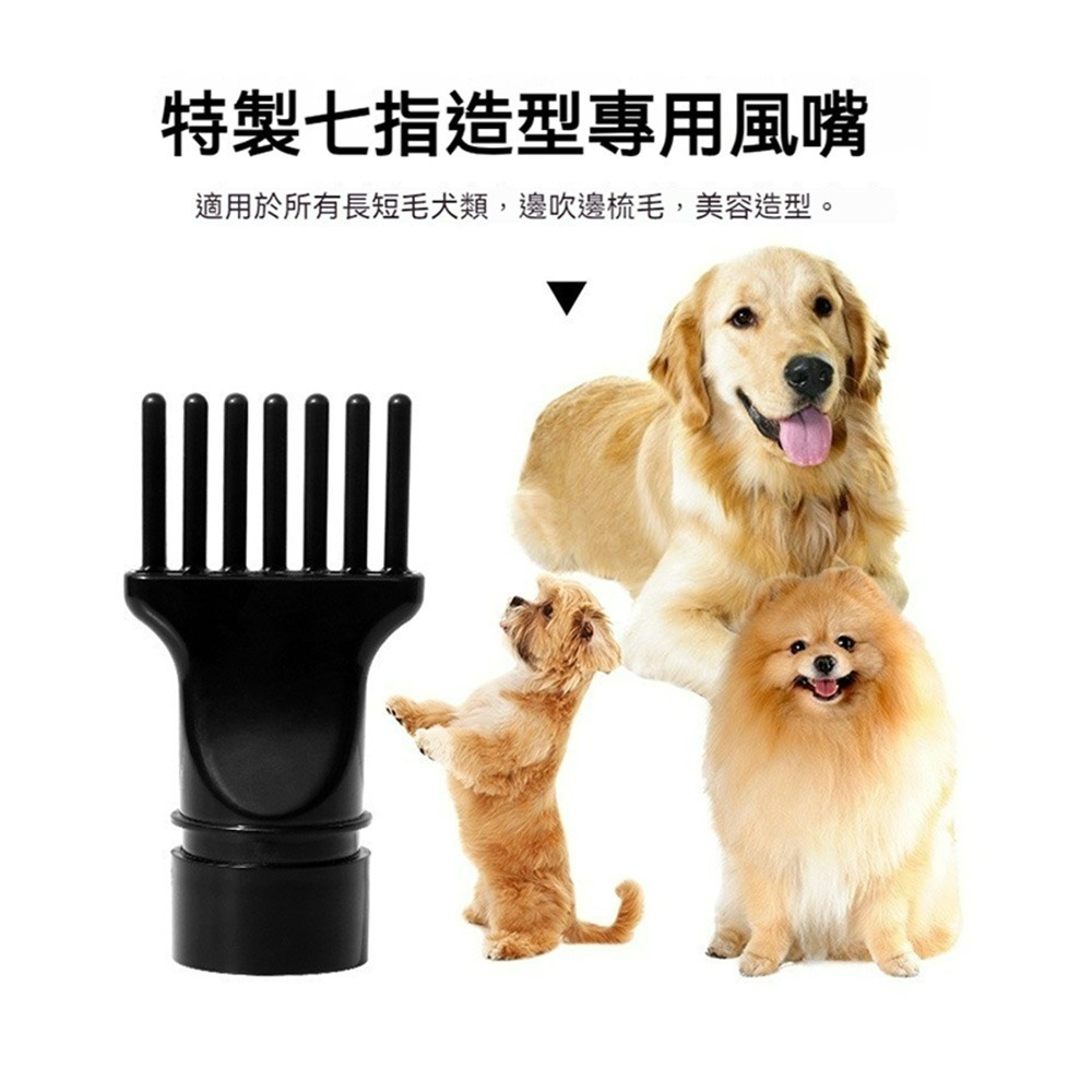 強力速乾寵物吹水機 靜音吹風機 高速吹乾機 狗狗吹毛機 貓咪烘毛機 寵物美容吹風機 洗車吹水機 寵物烘乾機-細節圖3