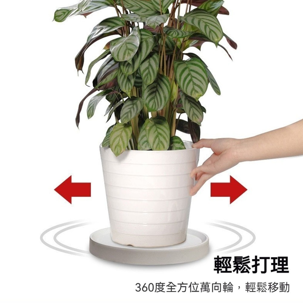 盆栽移動式托盤 加厚承重 滑輪花盆底座 萬向輪耐用 不傷地板 室內戶外植栽移動盤 園藝托盤 移動輪盤 展示輪盤 旋轉盤-細節圖3