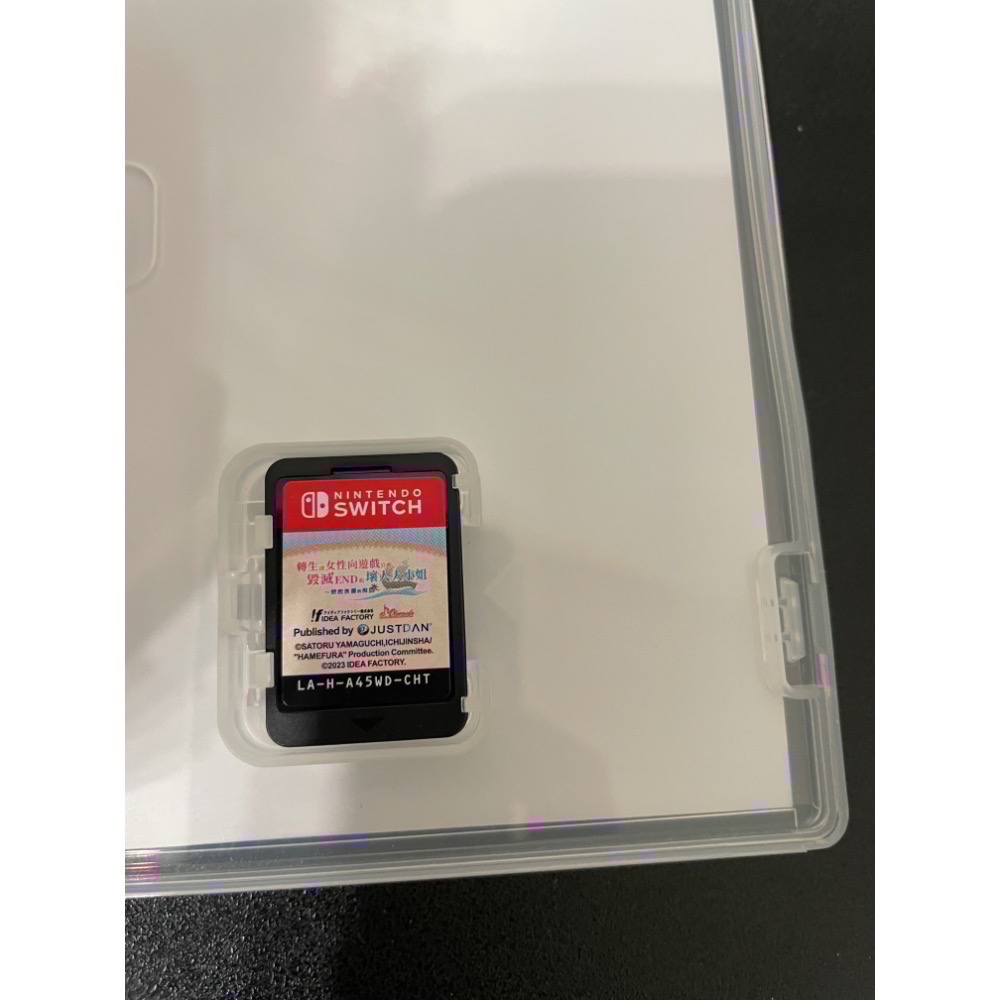 【二手Switch遊戲片】可用折價券 NS 轉生成女性向遊戲只有毀滅 END 壞人大小姐 掀起波瀾的海盜 乙女遊戲-細節圖3