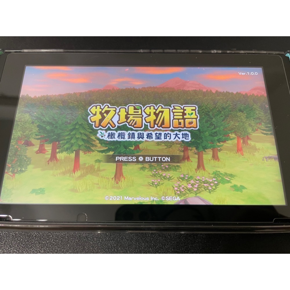 【二手Switch遊戲片】可用折價券 NS 牧場物語 橄欖鎮與希望的大地 牧場物語橄欖鎮 Switch遊戲 中文版-細節圖5