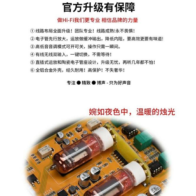 博聲 BRZHIFI VOL-65E 電子管膽前級膽耳放前置放大器发燒5.0高低音調節6J5 耳放 代理公司貨-細節圖7