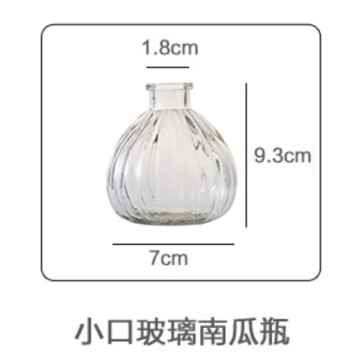 【巨路生活】迷你花瓶 小花瓶 水培植物花瓶-細節圖5