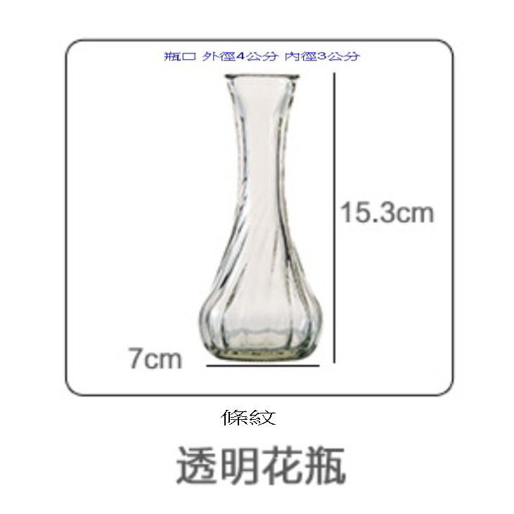 【巨路生活】迷你花瓶 小花瓶 水培植物花瓶-細節圖6