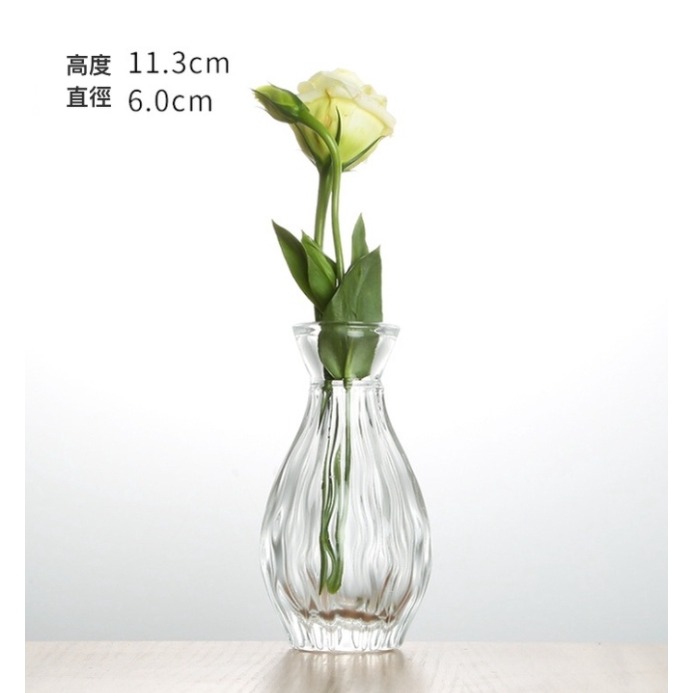 【巨路生活】迷你花瓶 小花瓶 水培植物花瓶-細節圖7