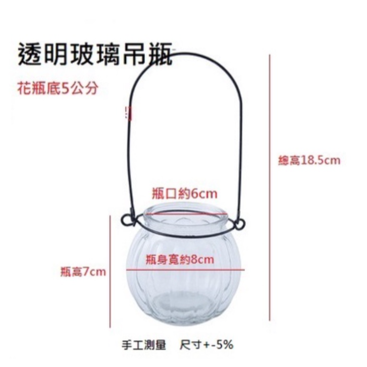 【巨路生活】迷你花瓶 小花瓶 水培植物花瓶-細節圖8