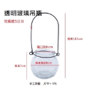 【巨路生活】迷你花瓶 小花瓶 水培植物花瓶-規格圖9
