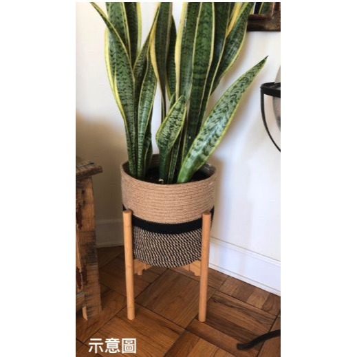 【巨路生活】實木十字花架 陽臺小花架 多肉花盆架-細節圖7