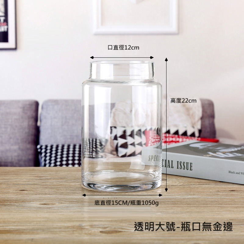 【巨路生活】透明玻璃花瓶 水培鮮花百合插花花瓶-細節圖2