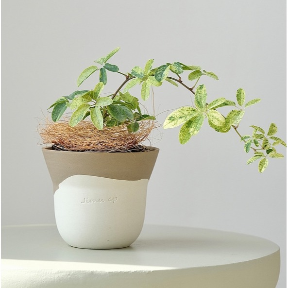 【巨路生活】手作陶瓷花盆 迷你小號花盆-細節圖4