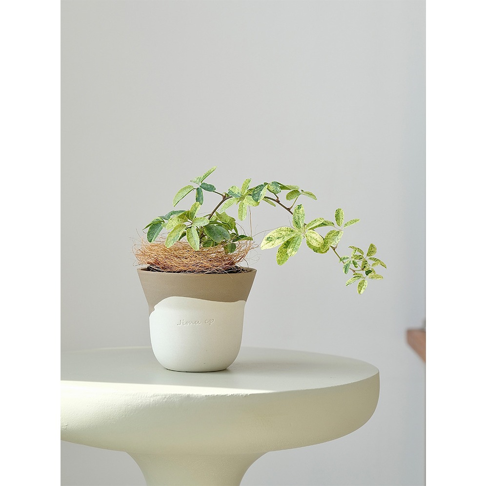 【巨路生活】手作陶瓷花盆 迷你小號花盆-細節圖5