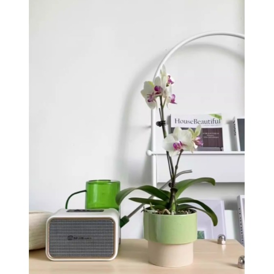 【巨路生活】韓系陶瓷花盆 簡約創意陶瓷-細節圖6