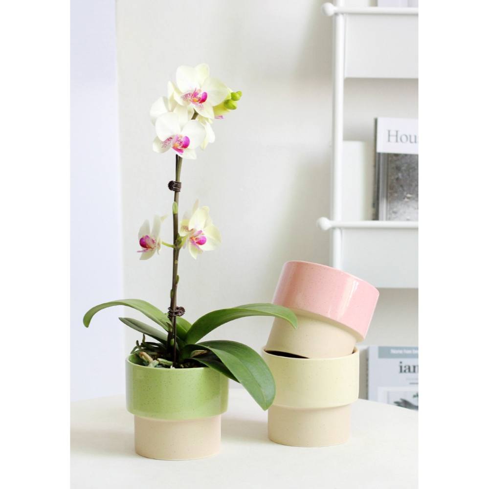 【巨路生活】韓系陶瓷花盆 簡約創意陶瓷-細節圖8