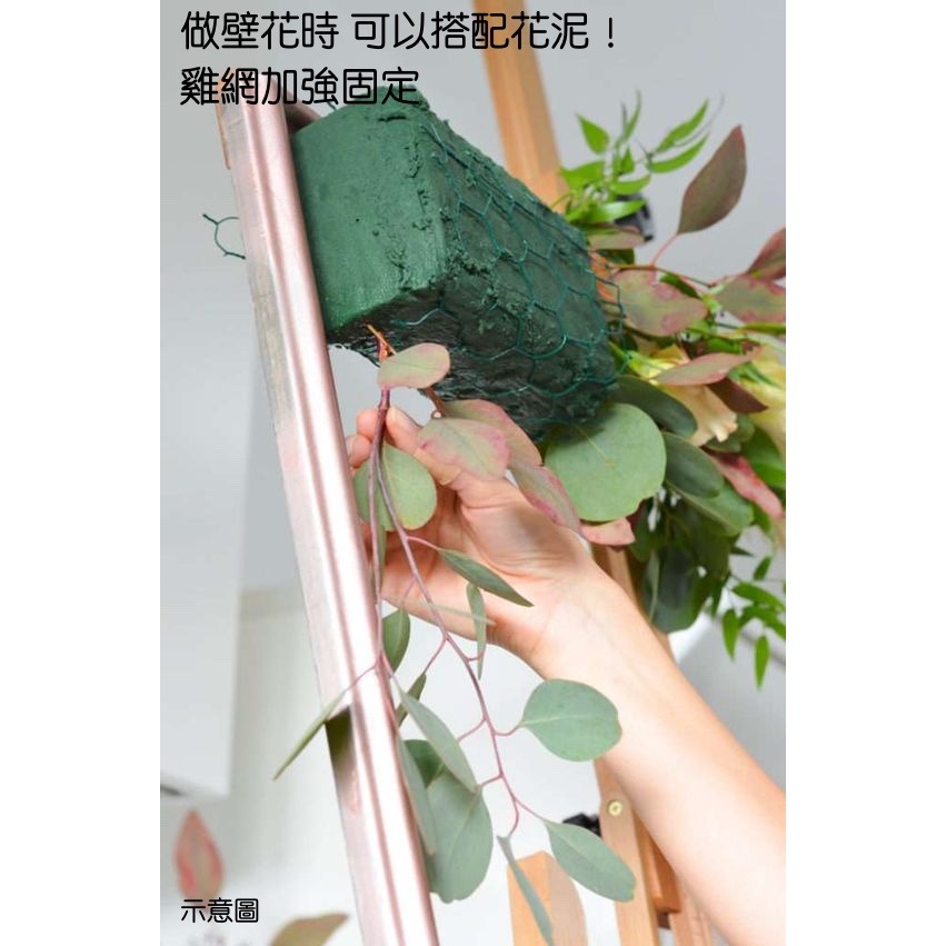 【巨路生活】插花雞網 長50公分 六角鐵絲網 雞籠 工藝綠色塗層-細節圖3