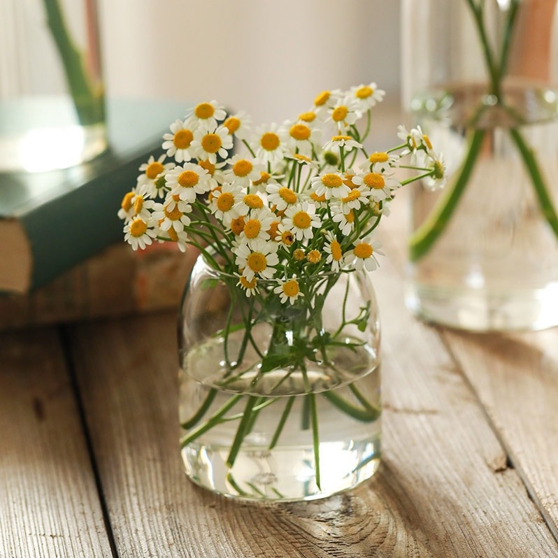 【巨路生活】花瓶 透明花瓶 桌架玻璃花瓶 透明小眾水培小雛菊鈴蘭花器皿-細節圖8