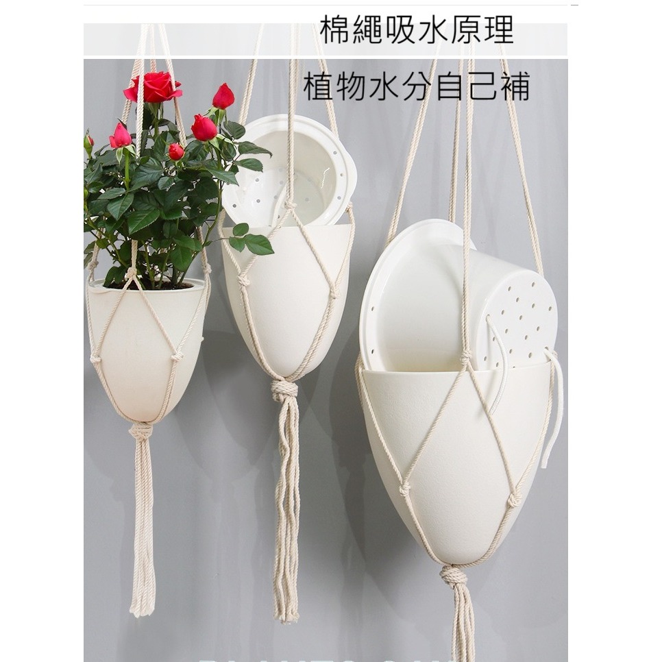 【巨路生活】花盆 蛋型吊盆  蛋形配棉繩掛繩 北歐自吸水花盆-細節圖3