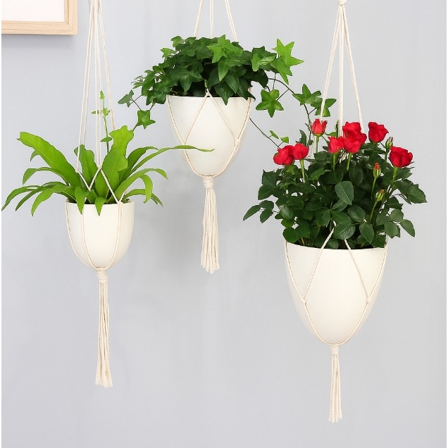 【巨路生活】花盆 蛋型吊盆  蛋形配棉繩掛繩 北歐自吸水花盆-細節圖4