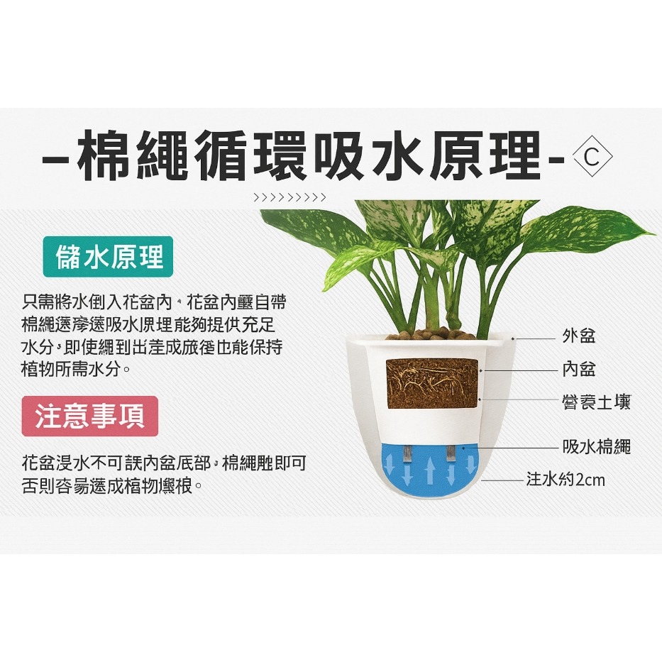 【巨路生活】花盆 蛋型吊盆  蛋形配棉繩掛繩 北歐自吸水花盆-細節圖7
