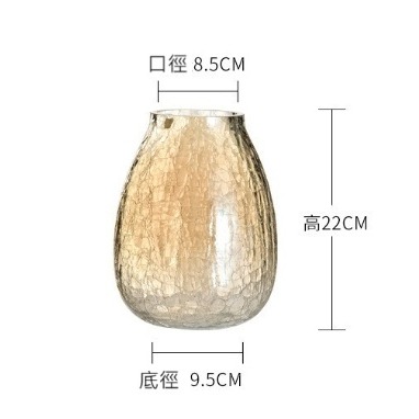 【巨路生活】玻璃花瓶 輕奢裂紋冰花玻璃花瓶 琉光透明花器 家居裝飾插花瓶-規格圖8