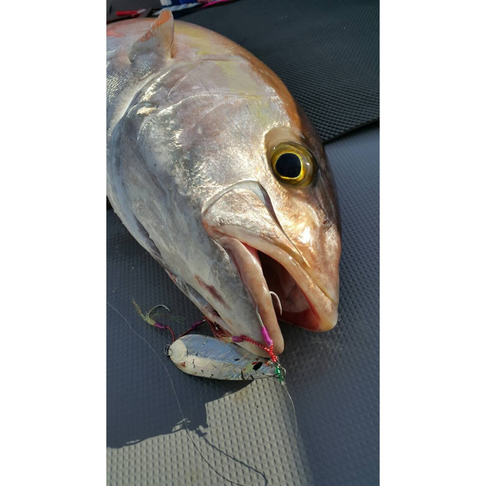 路亞天堂 莎美 綁好的鐵板鈎 Jigging鉤-短SHORT  鐵板-細節圖5