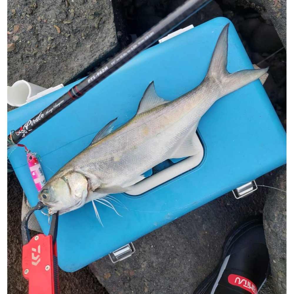 路亞天堂 仿日本D牌長板鐵板 路亞 軟蟲 鐵板 VIB ( 裸片下標區 )-細節圖2