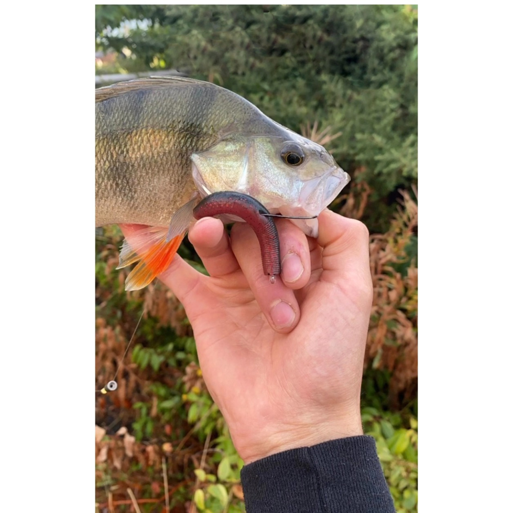 路亞天堂 釣之屋 内德钓组浮水软饵棒棒虫 路亞 軟蟲 鐵板 VIB-細節圖4