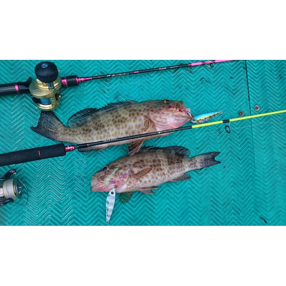 路亞天堂 莎美 綁好的鐵板鈎   路亞 軟蟲 鐵板 VIB-細節圖5