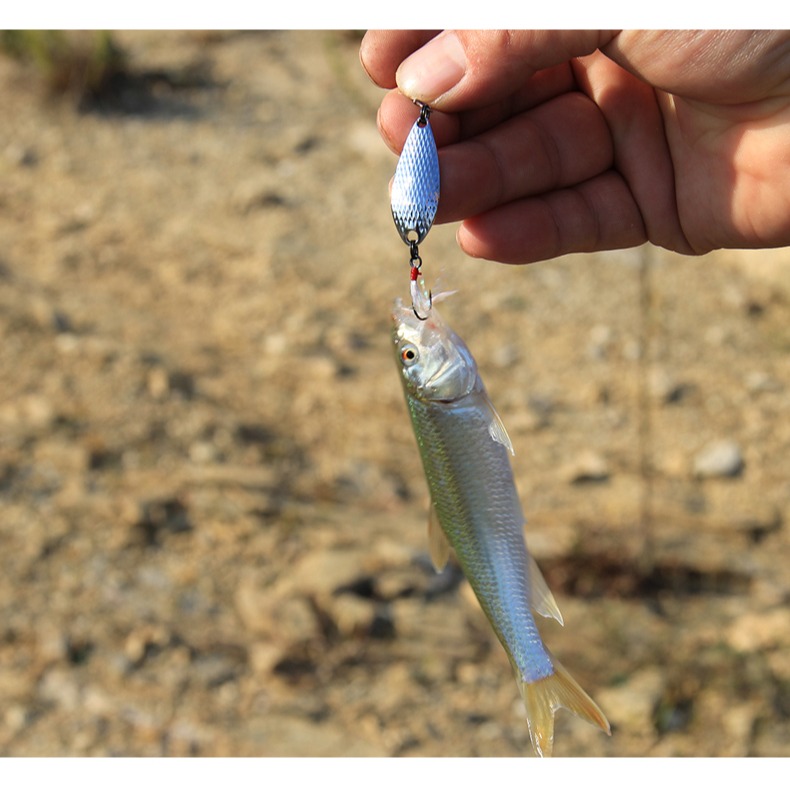 路亞天堂 湯匙亮片帶羽毛單鉤 路亞 魚餌 路亞 軟蟲 鐵板 VIB-細節圖4