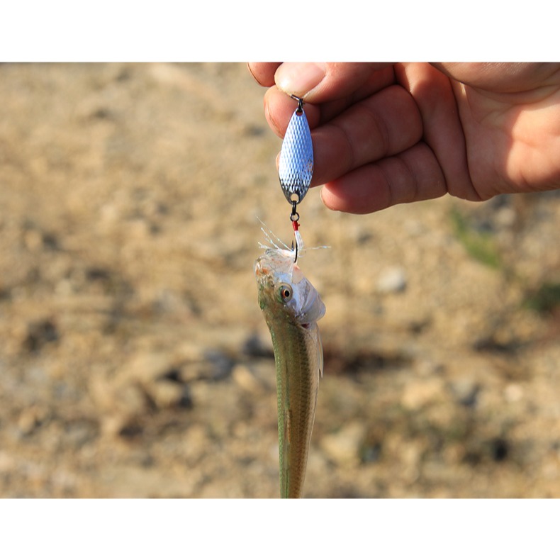 路亞天堂 湯匙亮片帶羽毛單鉤 路亞 魚餌 路亞 軟蟲 鐵板 VIB-細節圖5