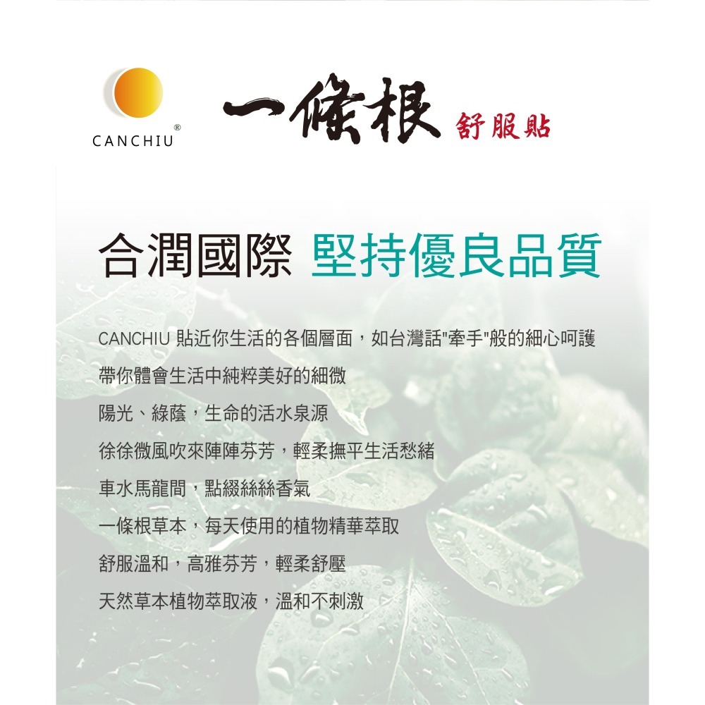 CANCHIU 一條根舒服貼 一條根暖暖貼 居家必備小物 一條根 精油貼布 精油貼布 溫熱貼布 舒緩放鬆 貼布 痠痛-細節圖8