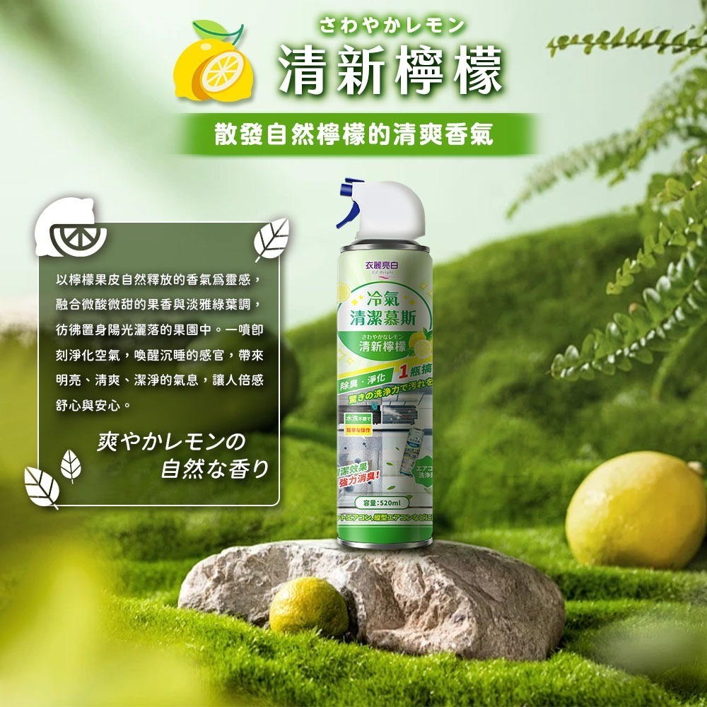【限時購】衣麗亮白 冷氣清潔慕斯 520ml/瓶 2入組 冷氣清潔 冷氣清洗劑 空調清潔劑 免沖洗-細節圖6