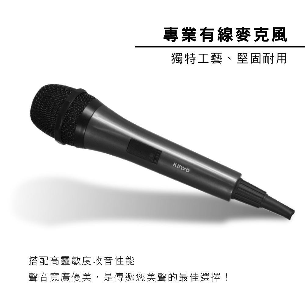 【現貨附發票】KINYO 耐嘉 高感度動圈式麥克風 1入 DM-900-細節圖2