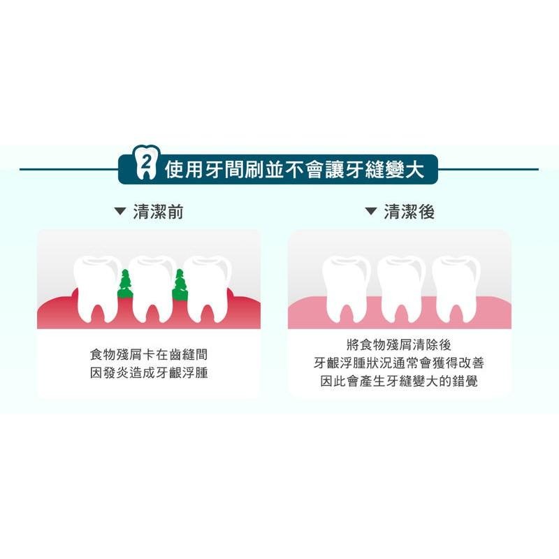 【現貨附發票】3M 護牙牙間刷 L型4支 /卡 (L號1.5mm)-細節圖4